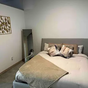 Luxury Cozy Loft Downtown Stl Apartment Saint Louis